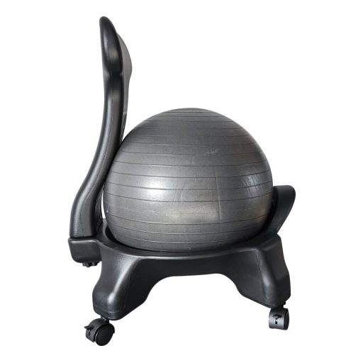 Fitness stolička s loptou s priemerom 55 cm